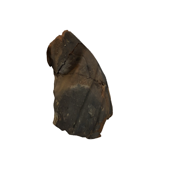 VITA QUOTIDIANA