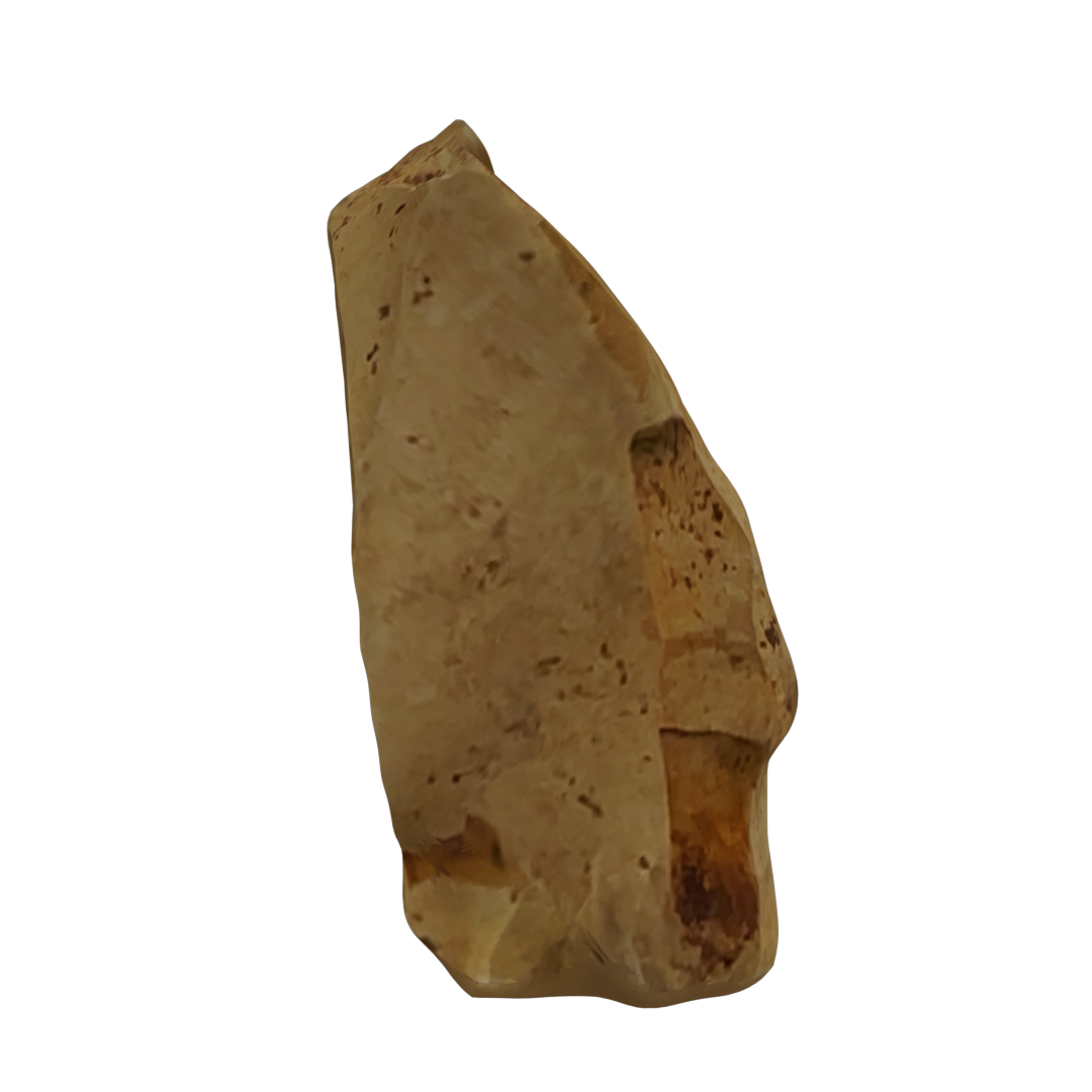 03. Nucleo